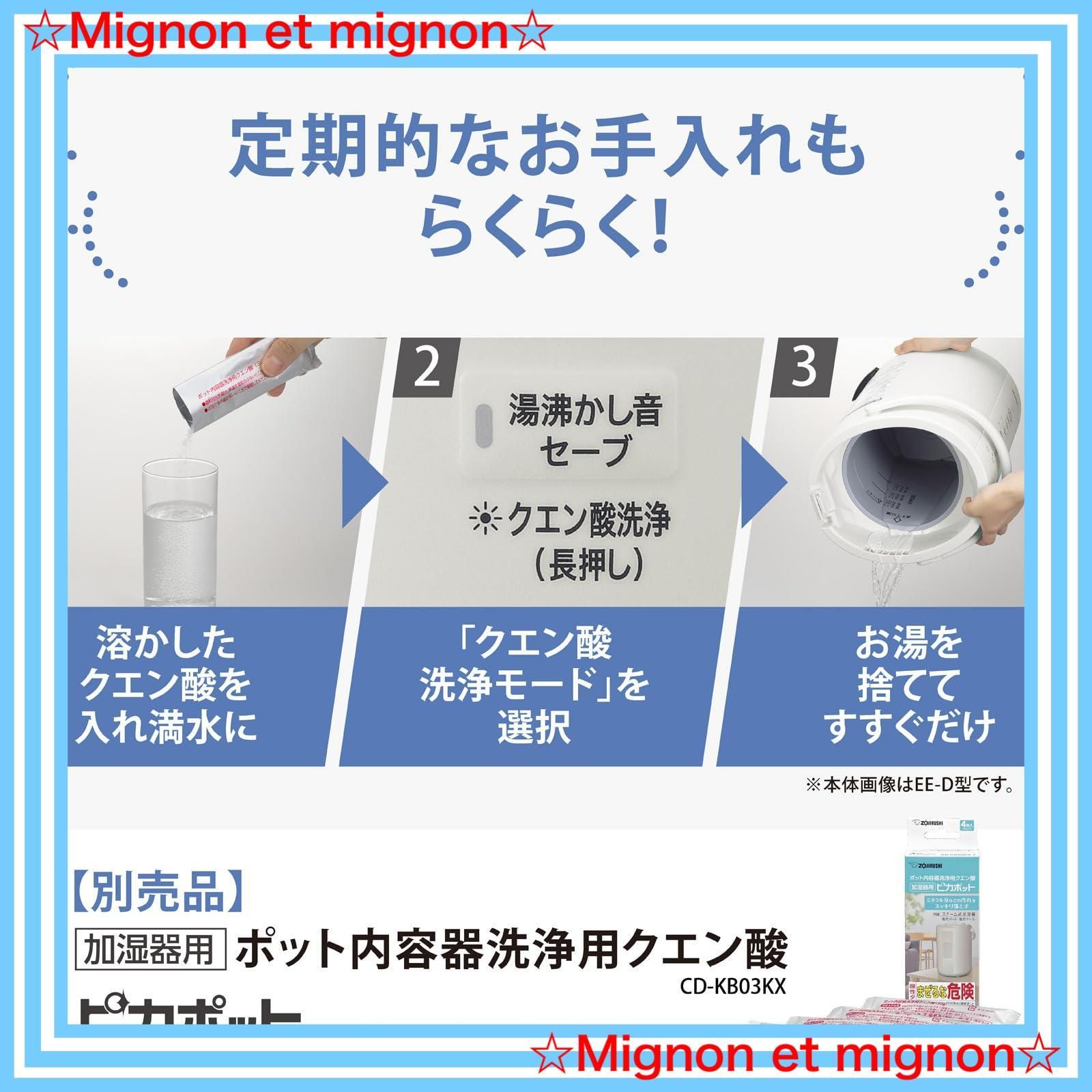 スチーム式 蒸気式