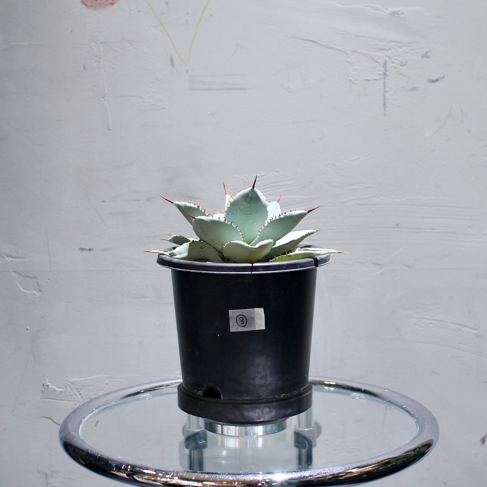 記内象嵌透かし蓮葉図鍔 切羽台に刻銘「越前住記内」 東Y7-0825⭐︎2F