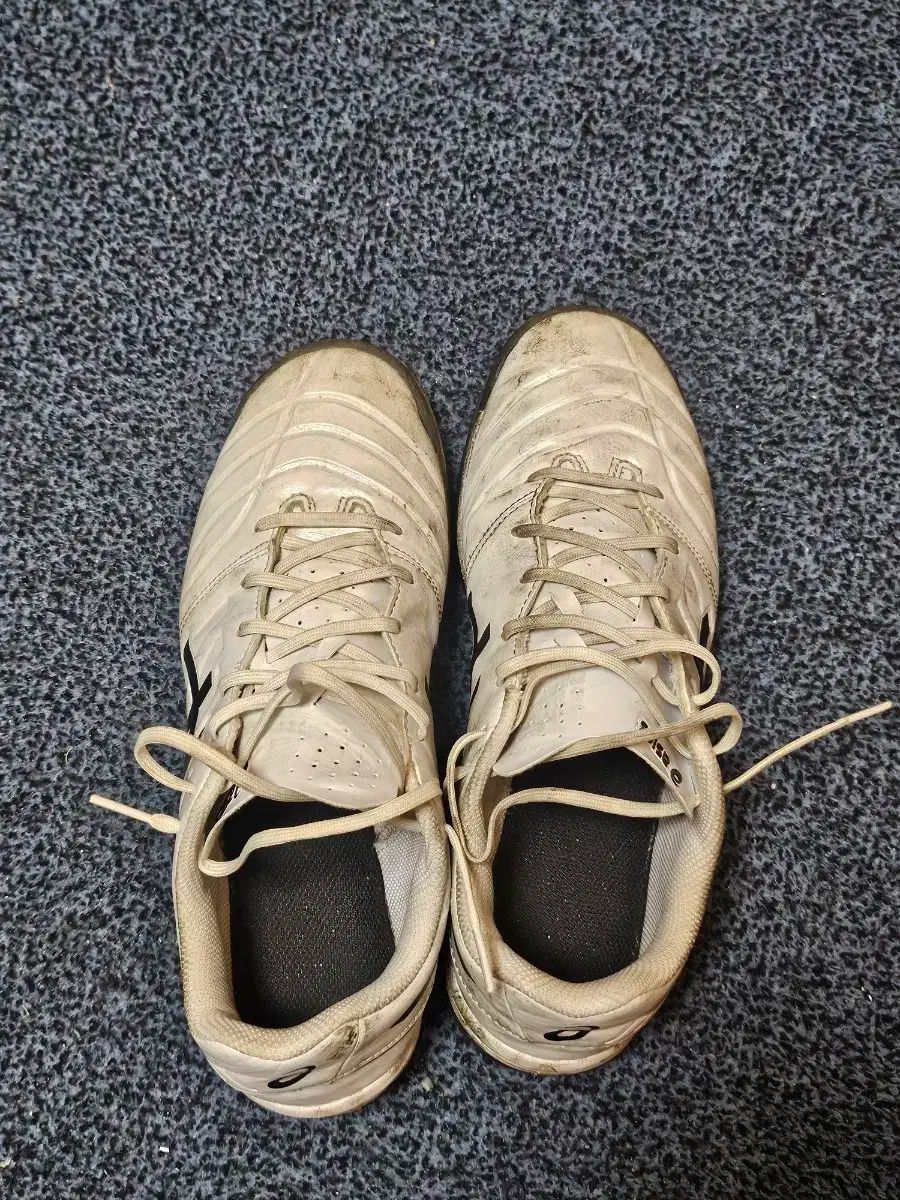 アシックス DS LIGHT サッカーシューズ 260