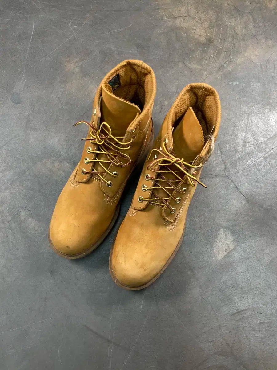 Timberland 6インチ ウォーカーブーツ