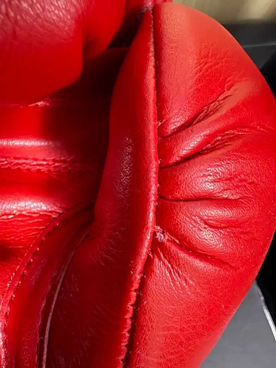  フライ ボクシング XLINE グローブ 14 oz その他 ボクシング