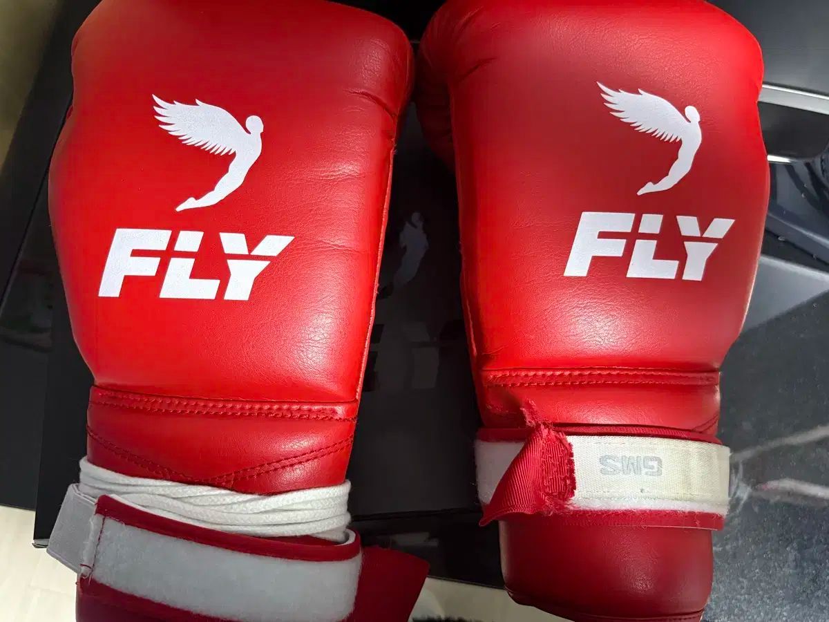 フライ ボクシング XLINE グローブ 14 oz