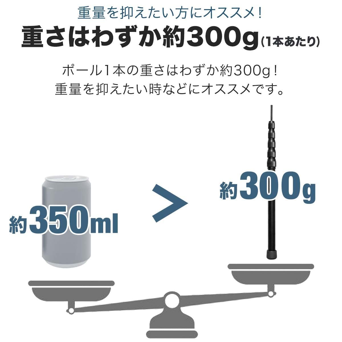 コンパクト 約300g