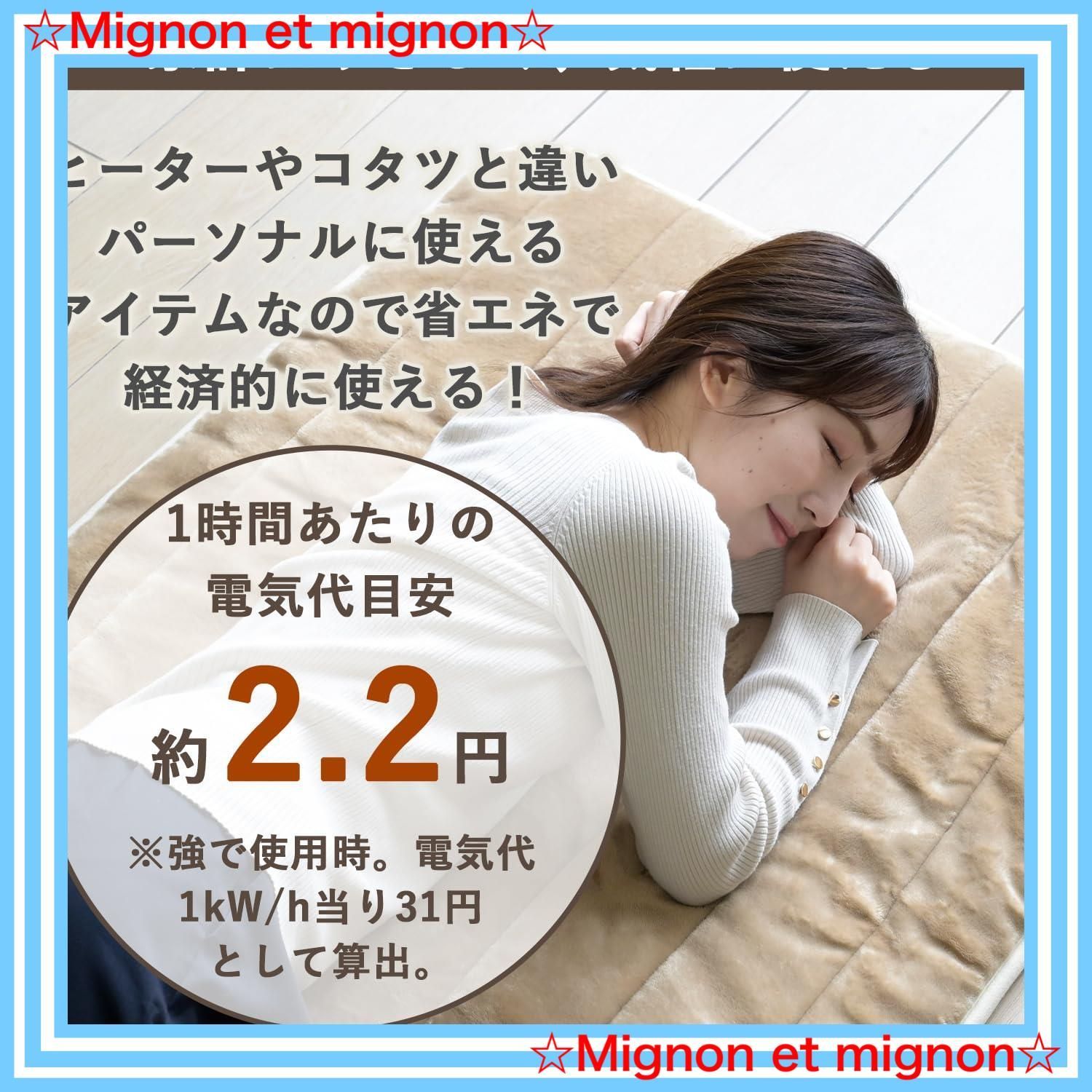 洗えるどこでもカーペット