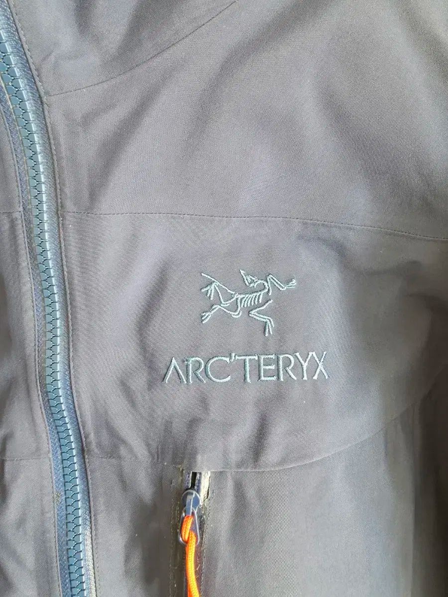 ARC TERYX アークテリクス アルファSV ジャケット Lサイズ