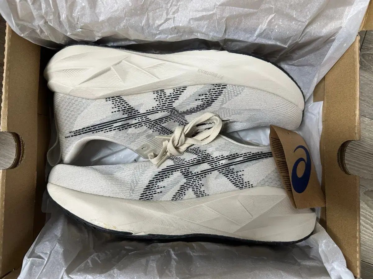 アシックス ランニングシューズ ノヴァブラスト5 255