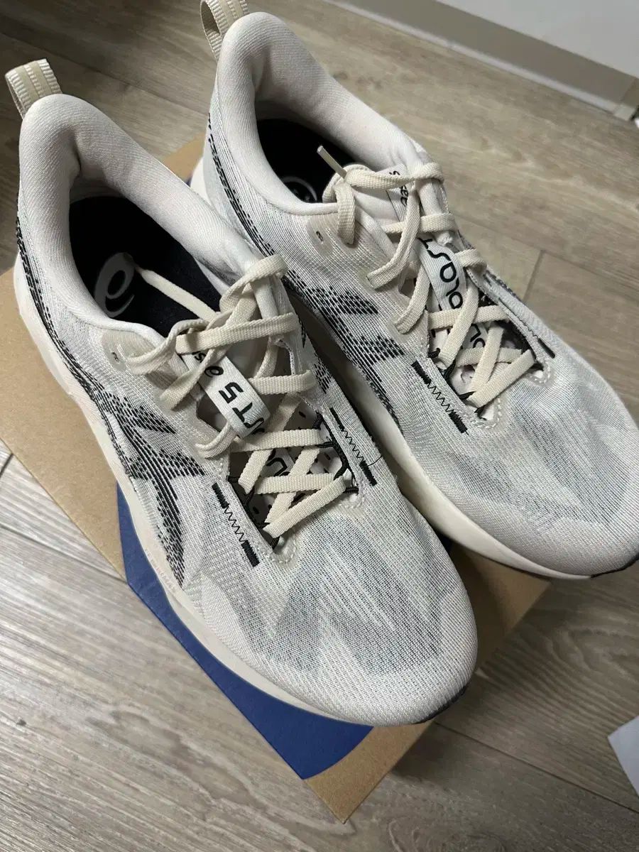 アシックス ランニングシューズ ノヴァブラスト5 255