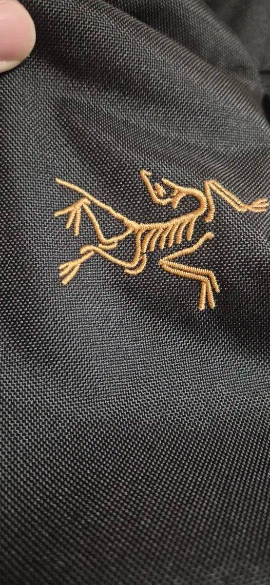 16 L ARC TERYX アークテリクス マンティス ブラック