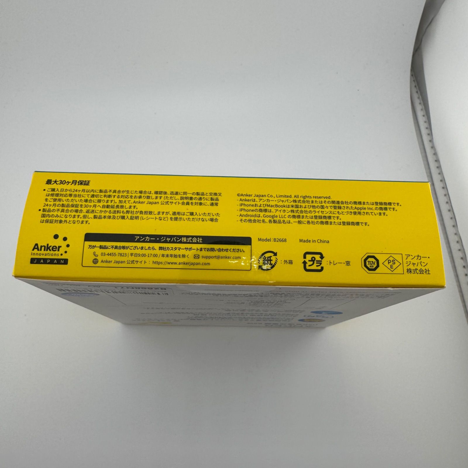 ピカチュウモデル