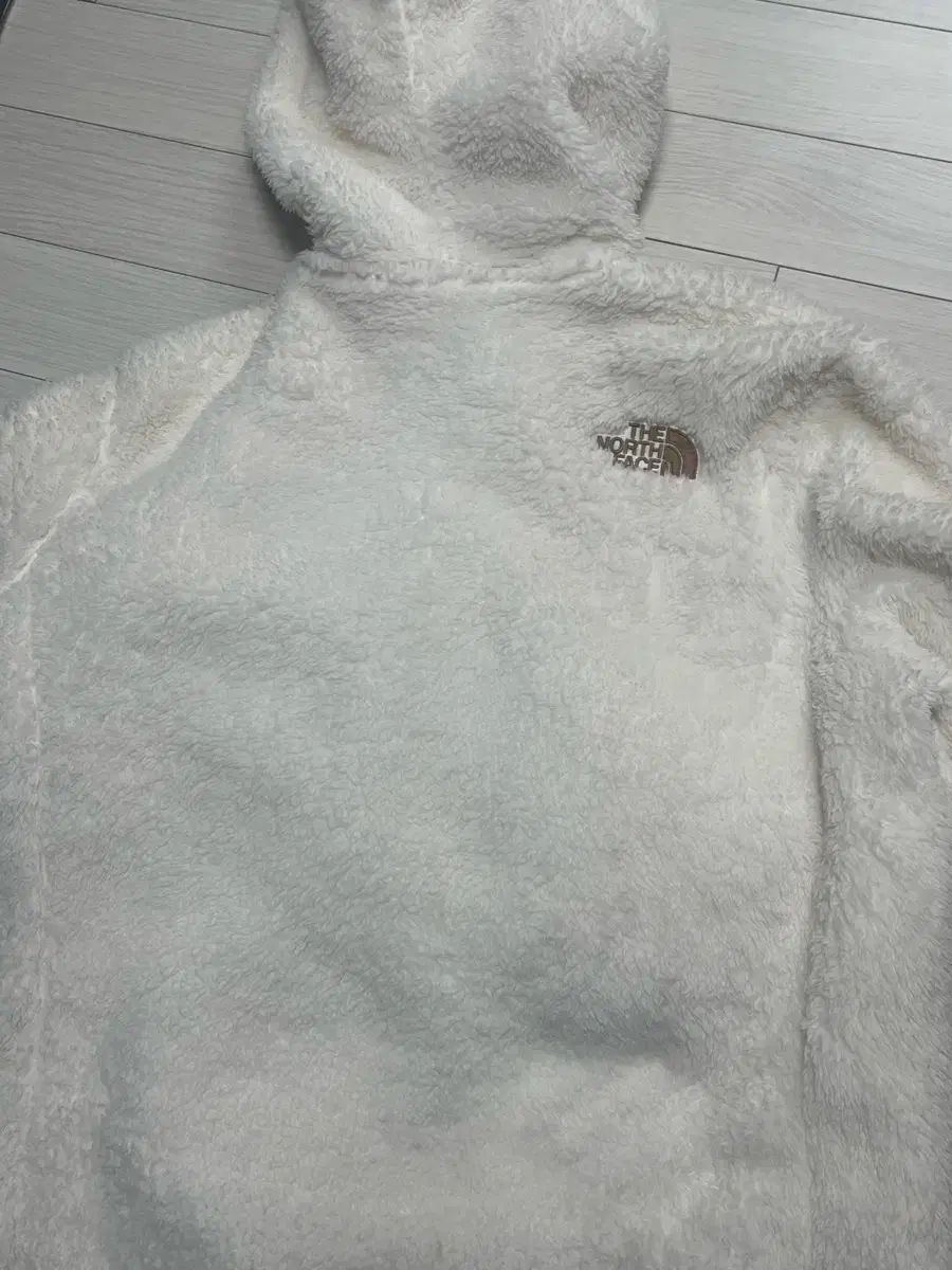 THE NORTH FACE ザノースフェイス ボア フリース フーディー フリース