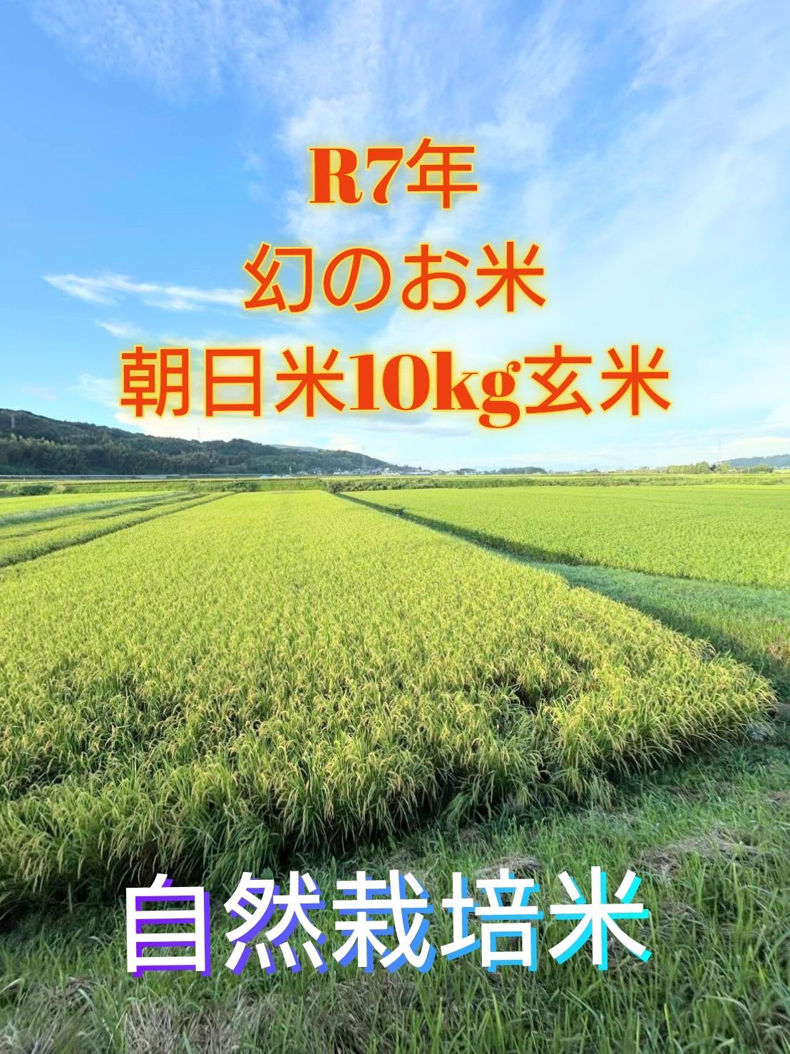 R7年 栽培期間中自然栽培米 朝日米10kg玄米