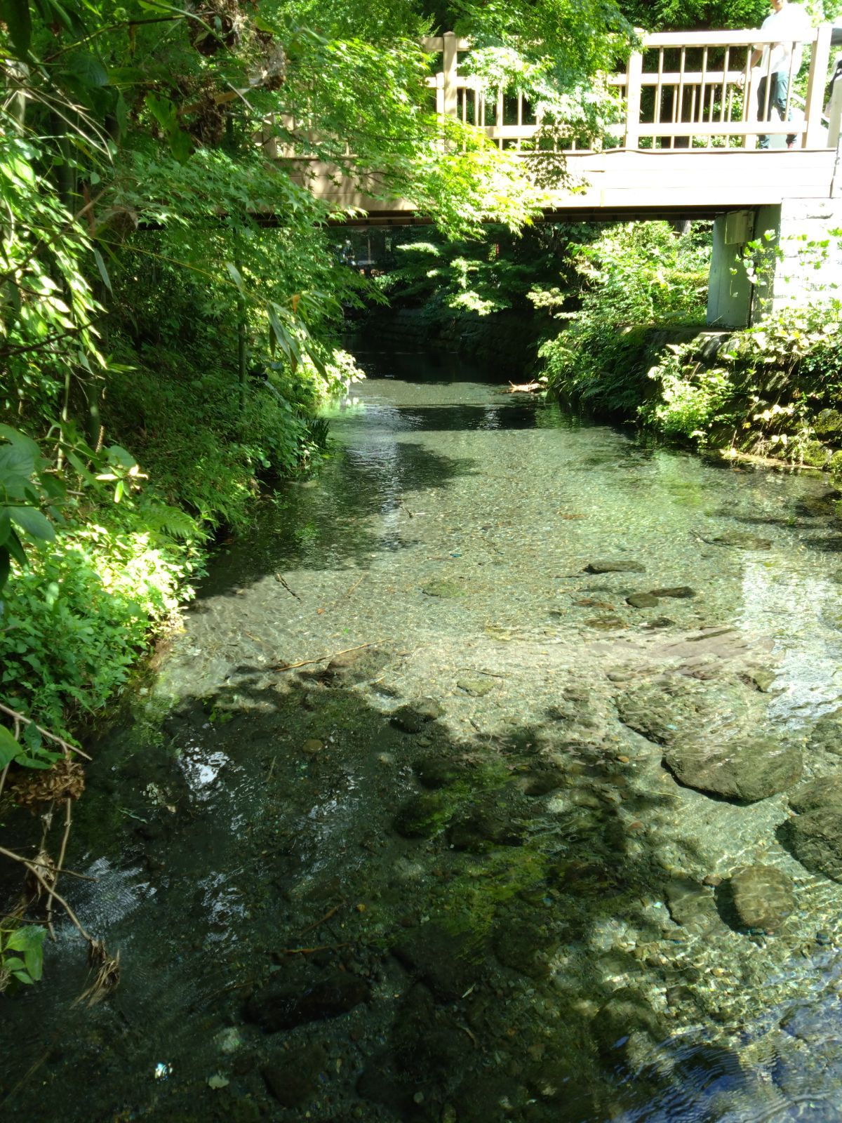 R7年 栽培期間中自然栽培米 朝日米10kg玄米 MERCADOAVALIA_COM_BR