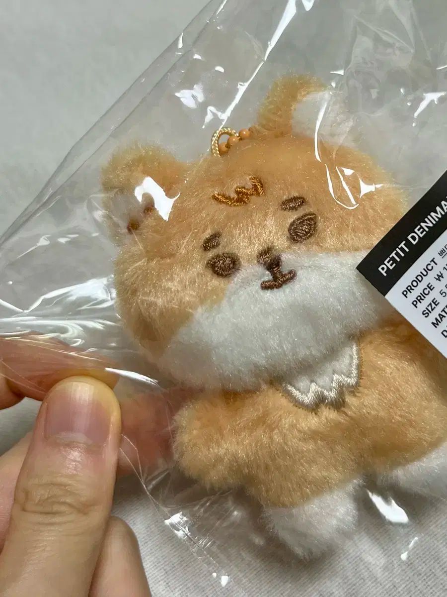 爆買い，人気SALE DAY6（デイシックス）デニマルズ(DENIMALZ) 쁘띠멀즈 ミニ 쁘멀 쁘쁘멀 ケ ヨンケイ(Young K) 未開封 その他