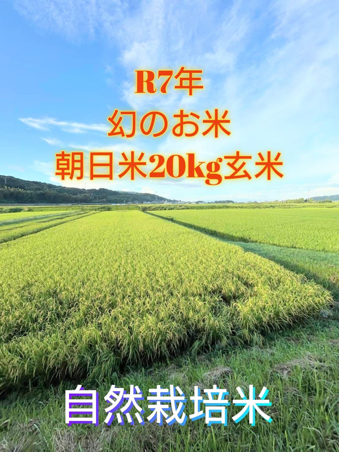 R7年 栽培期間中自然栽培米 朝日米20kg玄米