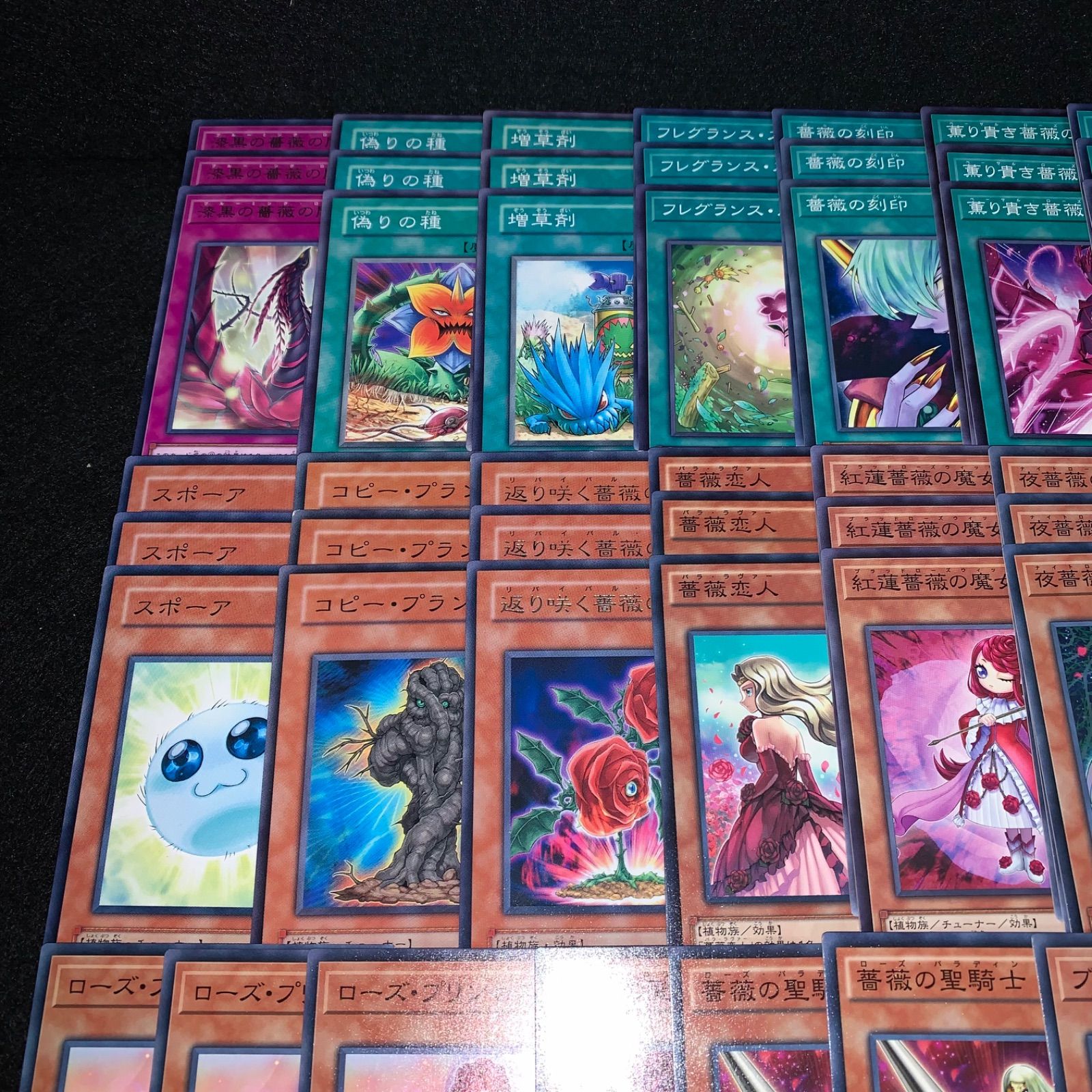 遊戯王 KYP448 ローズドラゴンデッキ 十六夜アキ デッキパーツ