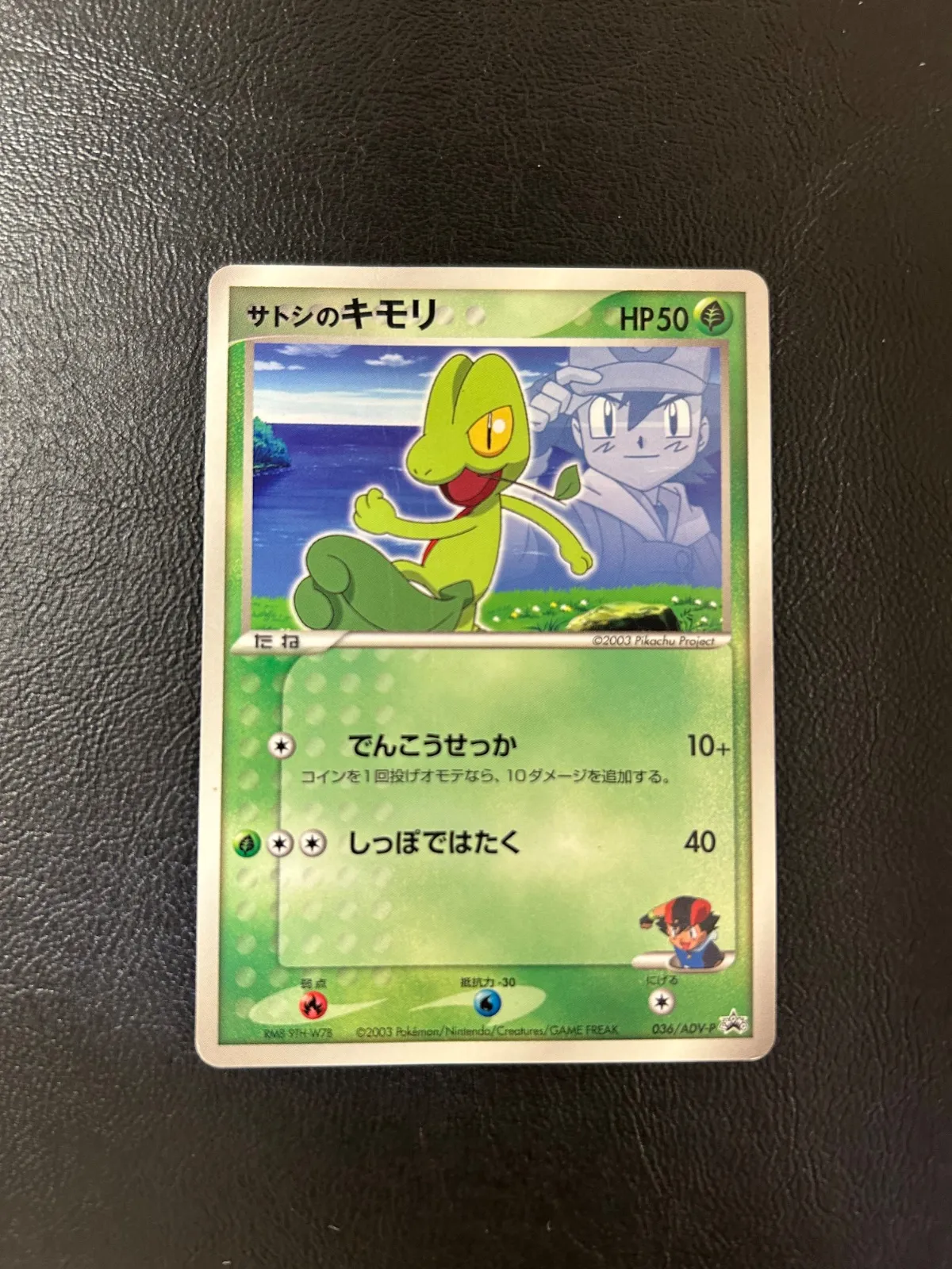 2025年最新】サトシのキモリの人気アイテム - メルカリ