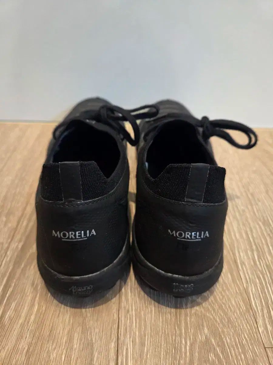 ミズノ モレリア NEO サラ ベータ JPN TF 250mm