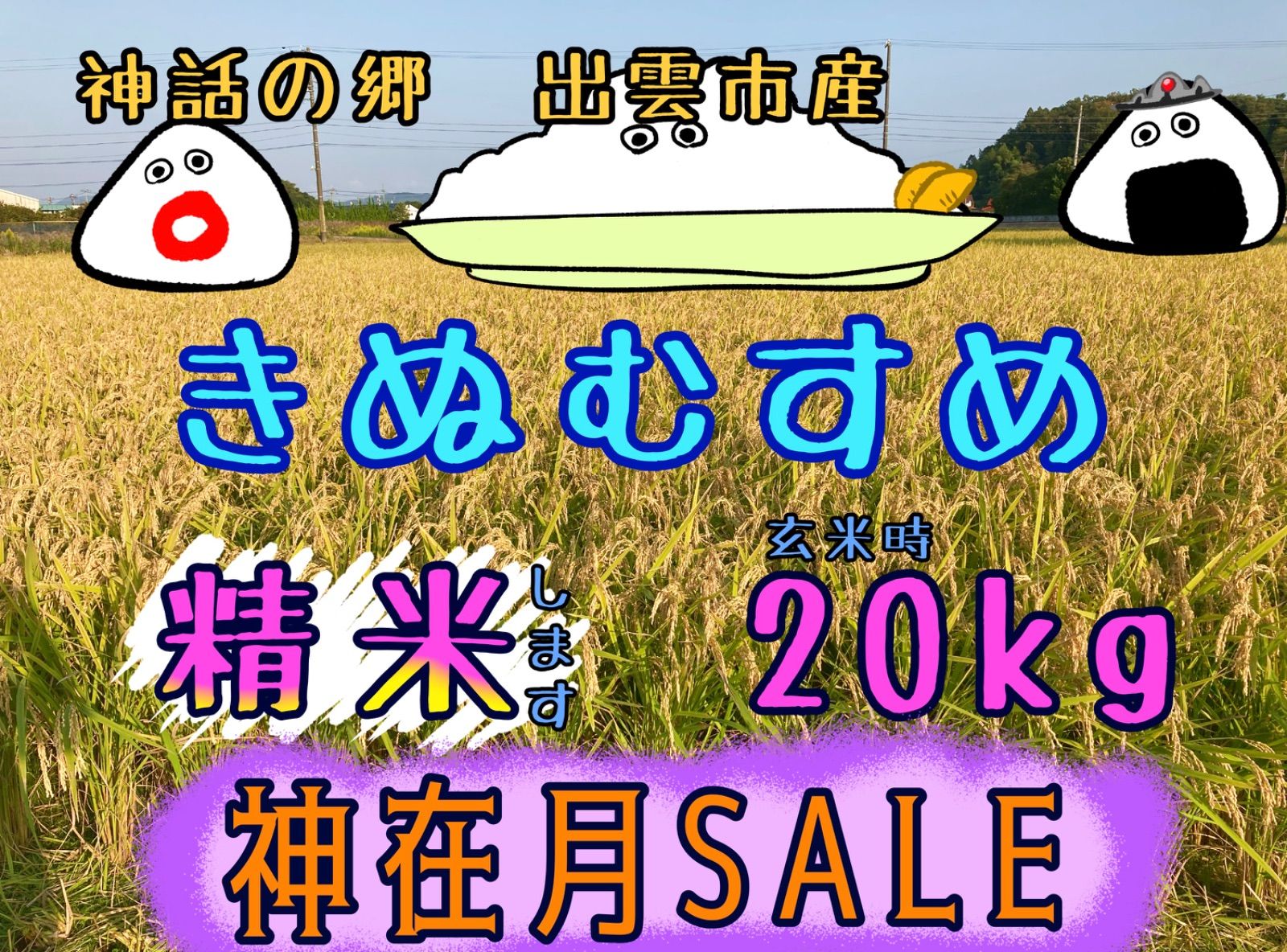 きぬむすめ 精米 〔玄米時〕約20㎏