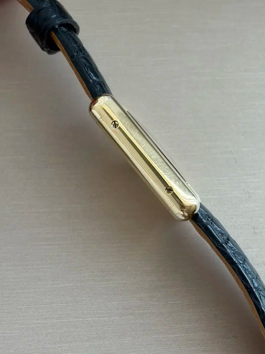 S バーガンディ