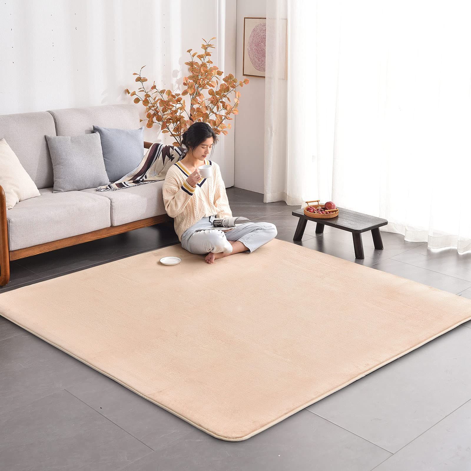 ラグ カーペット 低反発 ラグマット 3畳 厚手15mm 190x240cm 滑り止め付 洗える 防音 床暖房 ホットカーペット対応 防ダニ 抗菌 フランネル ウレタン 厚い じゅうたん 無地 ベージュ AICOMRI