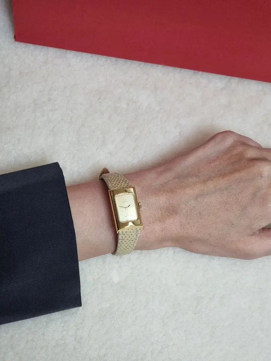 シャンパン ダイアル