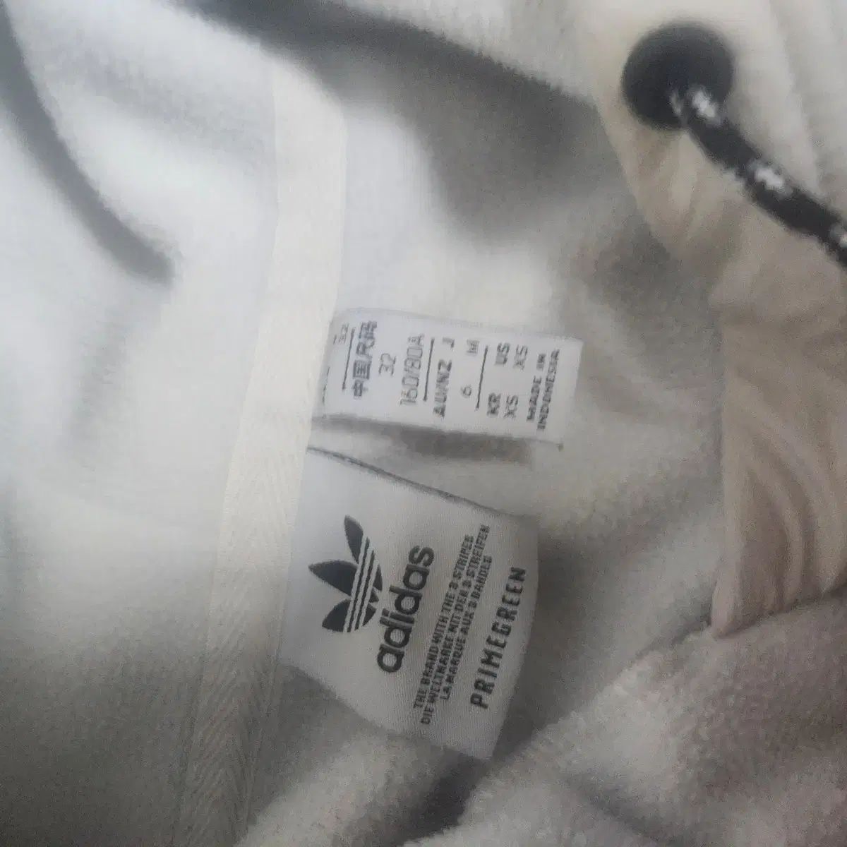 フーディーTシャツ