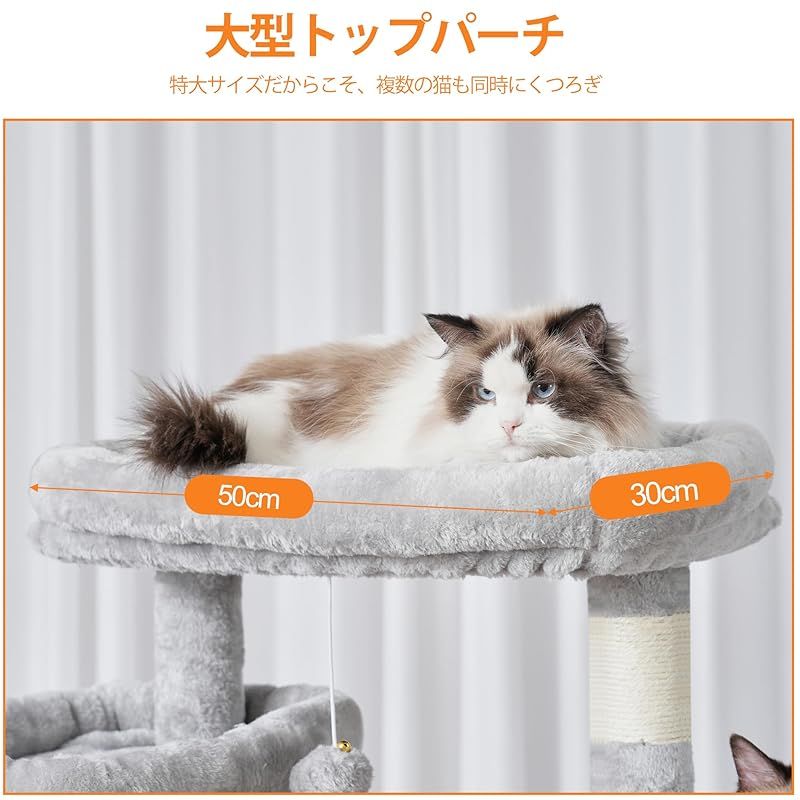 猫用品