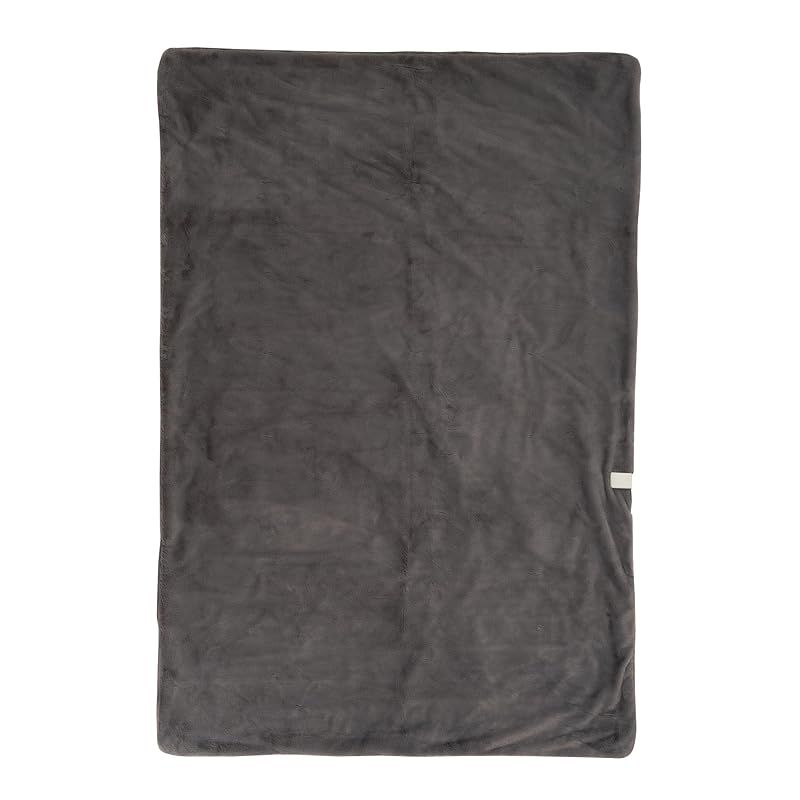 広電 KODEN 電気毛布 掛け 敷き 188×130cm ラビットファー 洗える ダニ退治 スライド温度調節 CWB801R-HM