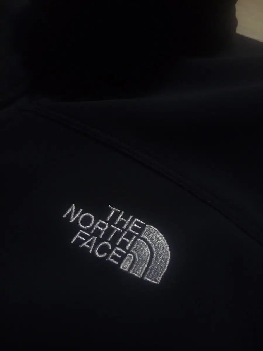 お手入れ簡単な THE NORTH FACE ザノースフェイス apex バイオニック フリース ベスト アメリカ 【最短翌日配送】