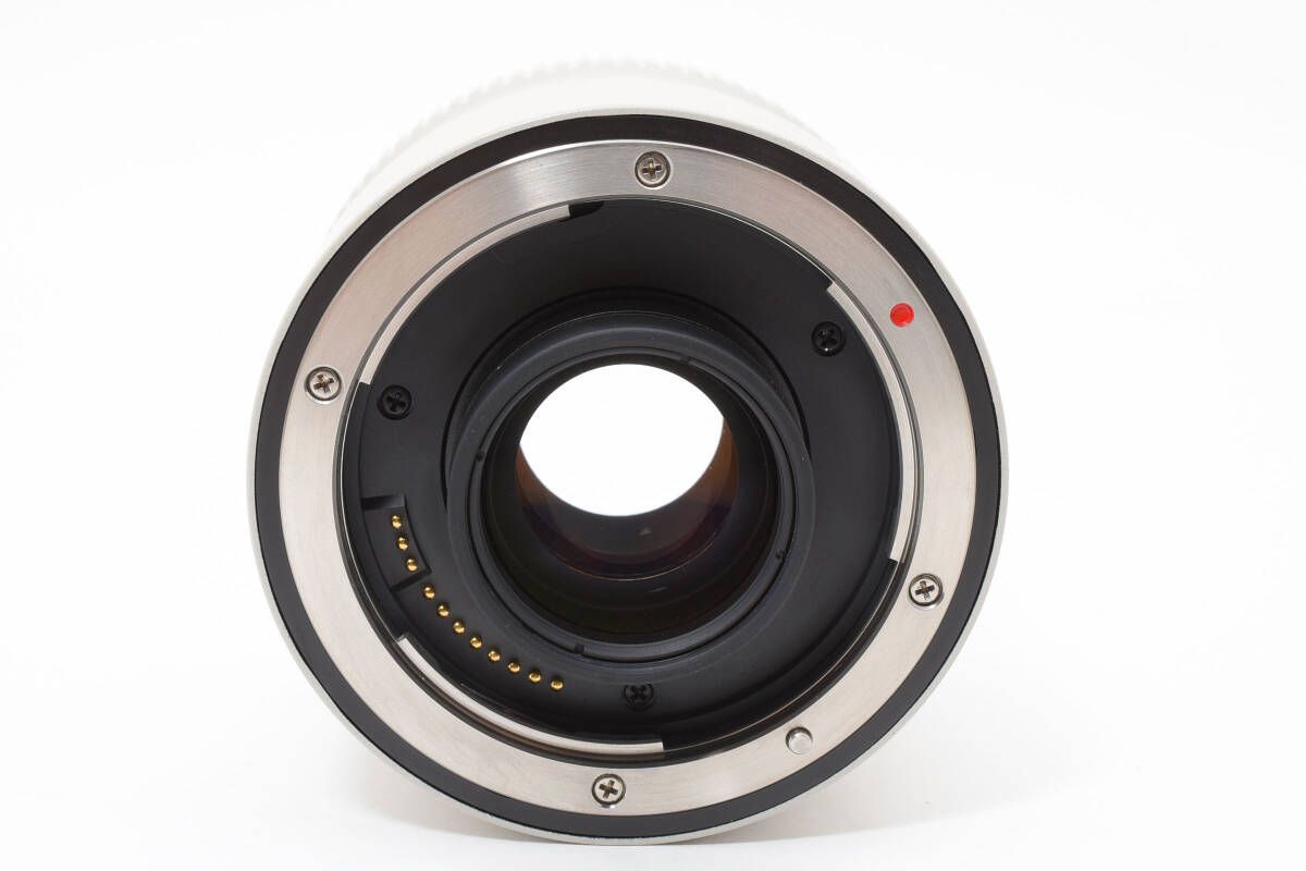 上品 キャノン Canon EF 2 x Ⅱ W 1097＃3491