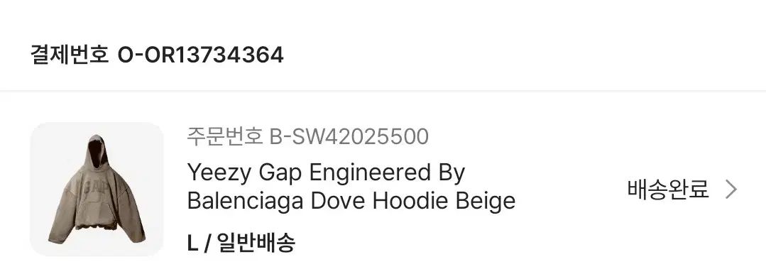 L YEEZY GAP バレンシアガ ドーブ フーディー ベージュ