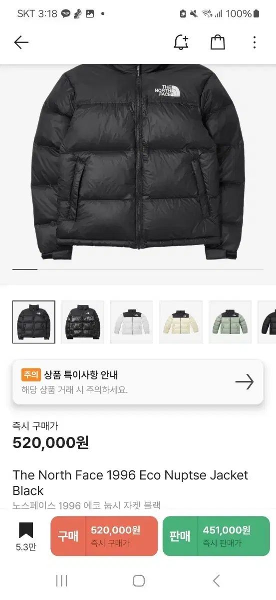 THE NORTH FACE 1996 Nuptse ブラック ダウン ジャケット L