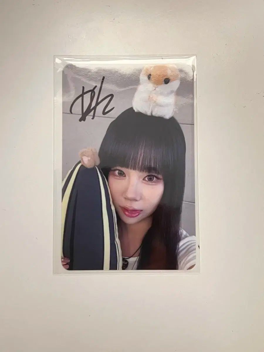 PURPLE KISS パープルキス 都市 サイン入り トレカ