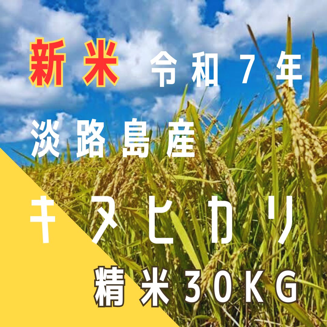 新米 令和7年産 キヌヒカリ 精米30キロ 淡路島産 産地直送 送料込み お米 送料無料 30kg