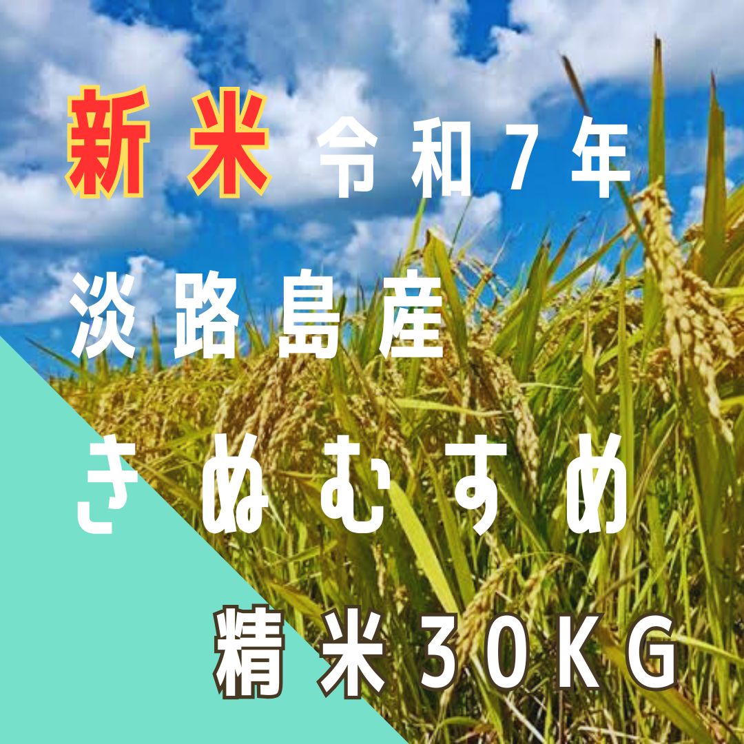 新米 令和7年産 きぬむすめ 精米30キロ 淡路島産 産地直送 送料込み お米 送料無料 30kg