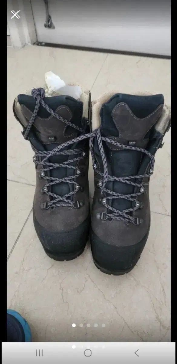 ハンバーグ アラスカgtx 245