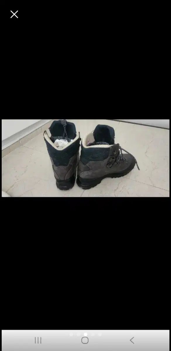 ハンバーグ アラスカgtx 245