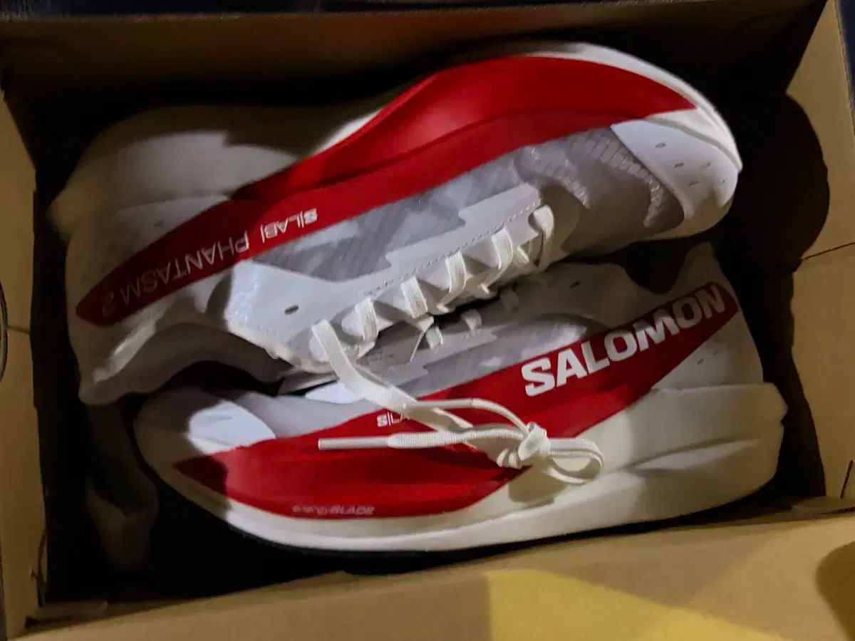 SALOMON サロモン