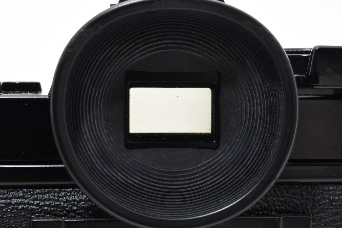 シャッター鳴きなし L