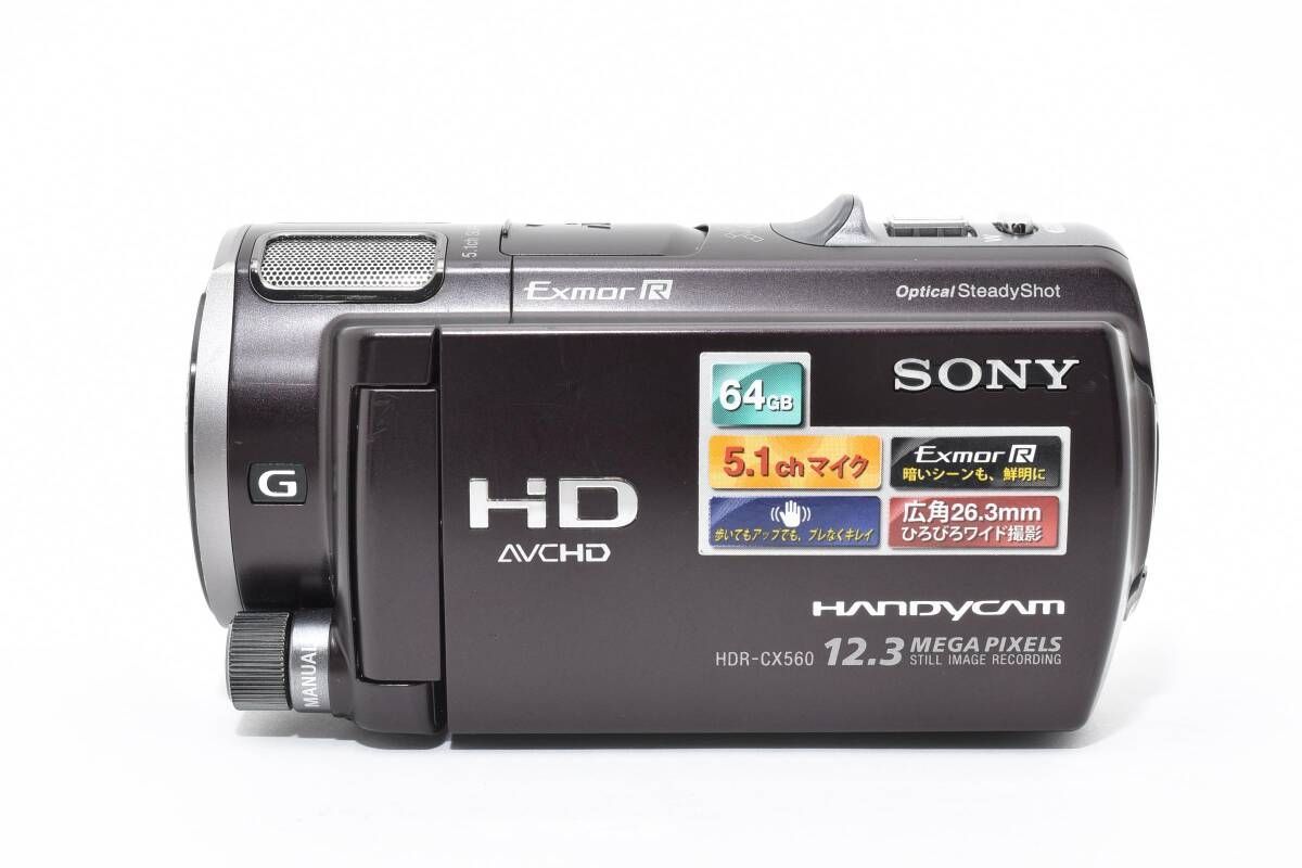 SONY HDR-CX500 ビデオカメラ 充電パック2個 ソフトケース付 SONY