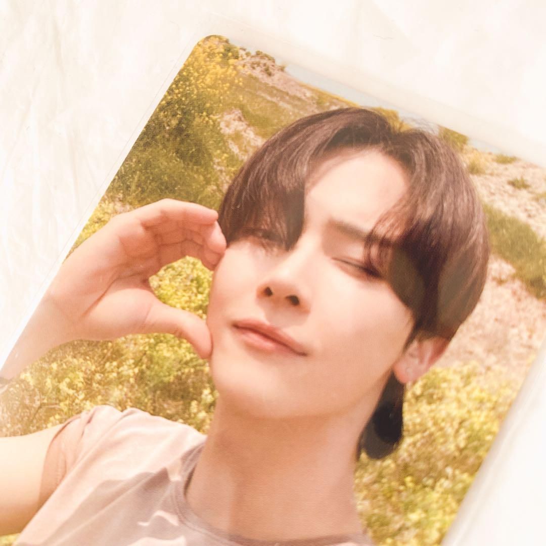 &TEAM 草原トレカ NICHOLAS ニコラス 縁DAY トレカ 公式 美品 - メルカリ