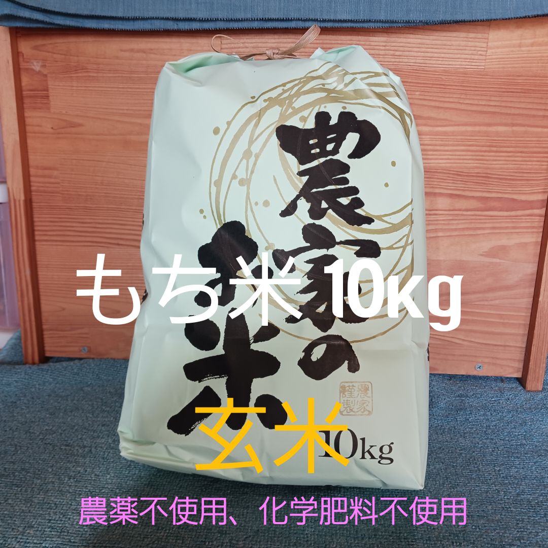 もち米 10kg 玄米 農薬不使用 化学肥料不使用 ハザ掛け米