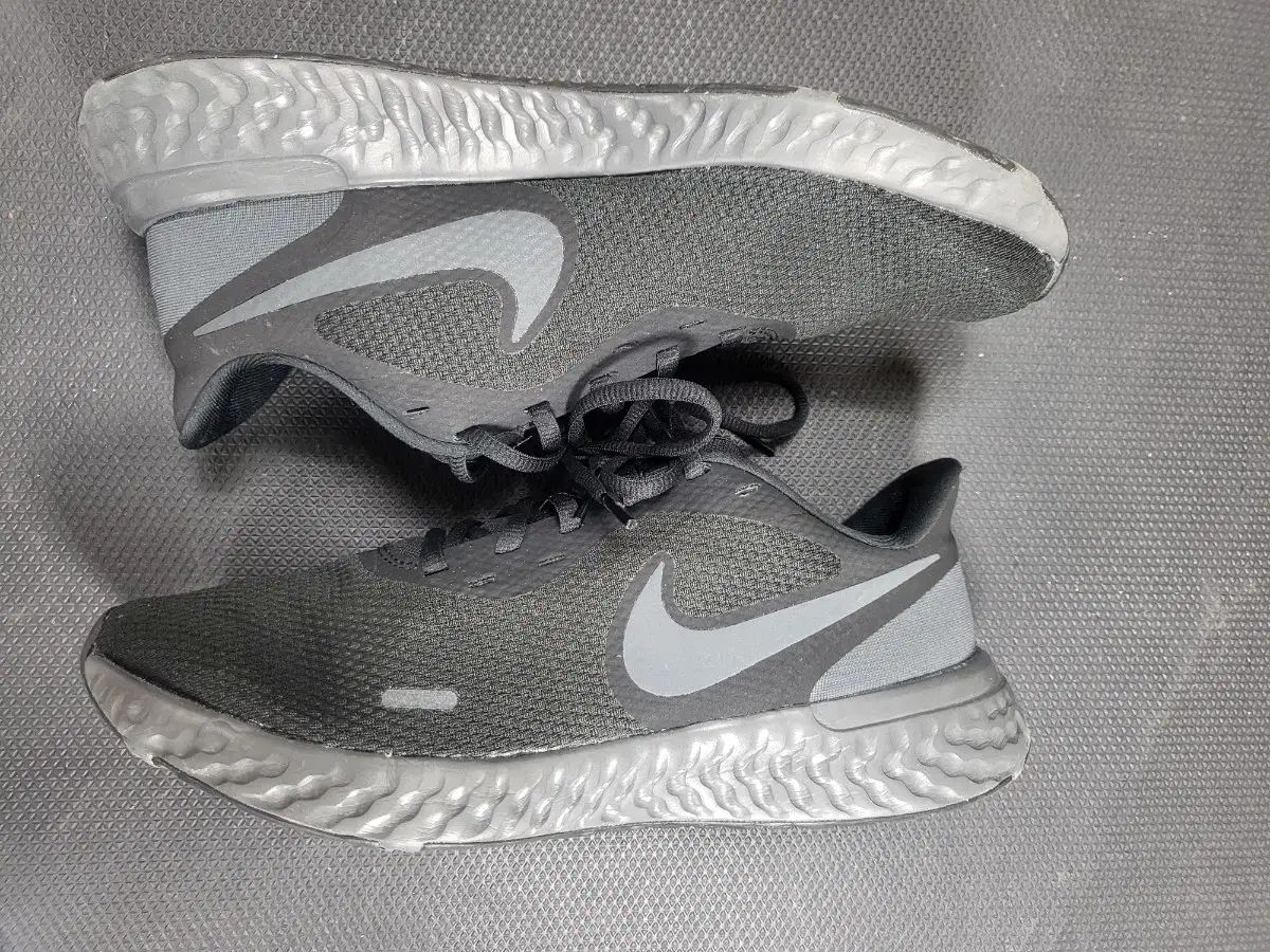 レボリューション 5