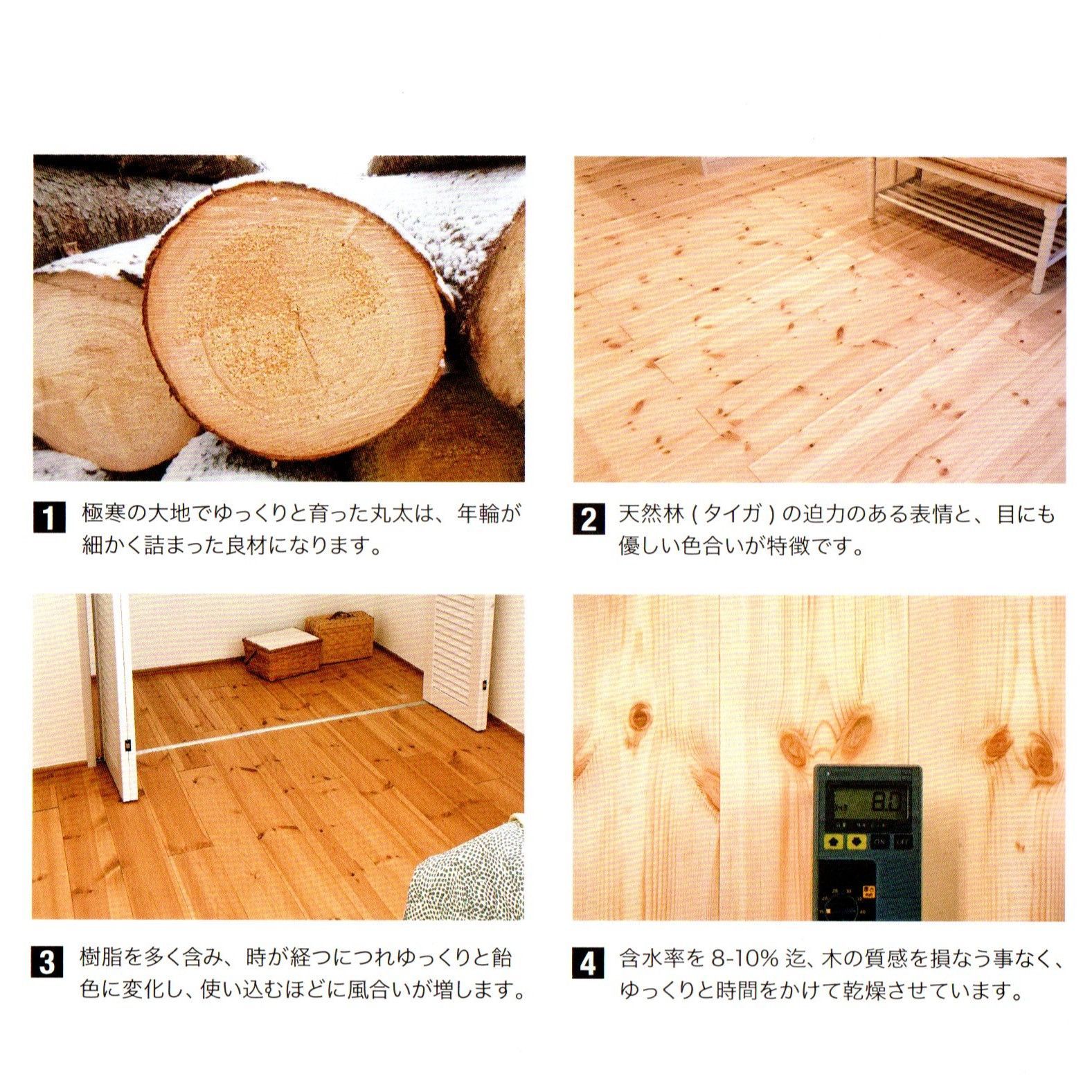 節あり 55束セット