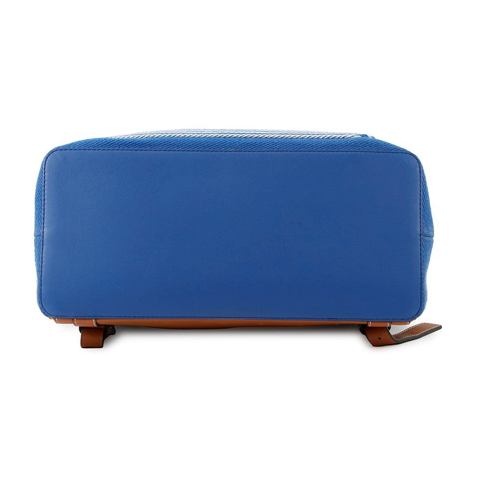 ゴヤ キャンバス