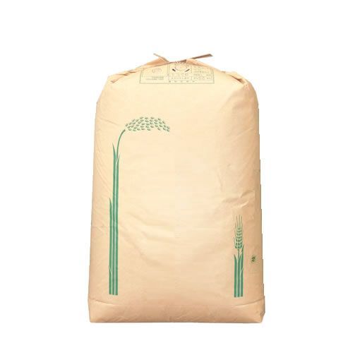 もち米 令和6年産東北産こがねもち 白米 30kg