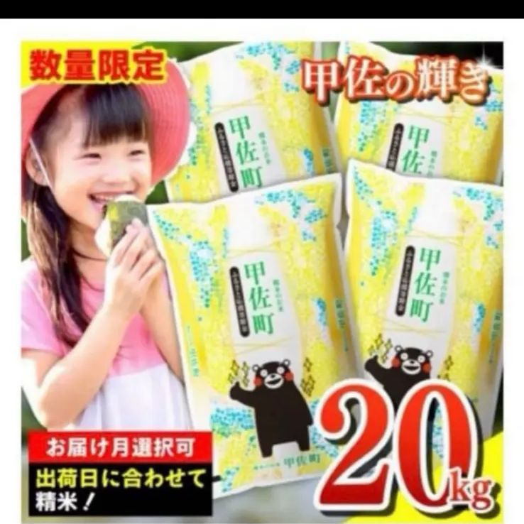 甲佐の輝き 精米 5kg袋×4 熊本県産