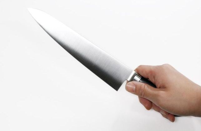 ｲﾉｯｸｽ牛刀