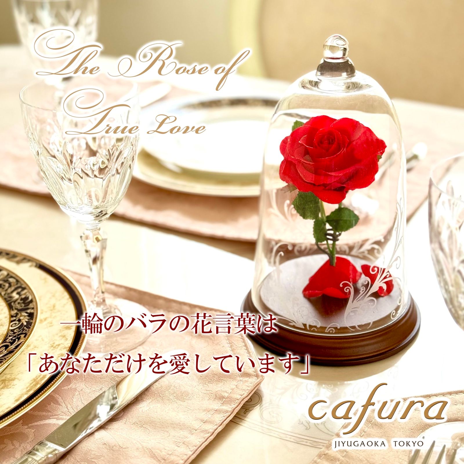 プリザーブドフラワー 赤いバラ 美女と野獣 ガラスドーム入り 天然ダイヤモンドパウダー付 永遠の愛を象徴 ギフト プロポーズ 結婚記念日 誕生日 妻 彼女 恋人へ おしゃれ インテリア 贈り物 プレゼント ダイヤモンドローズ