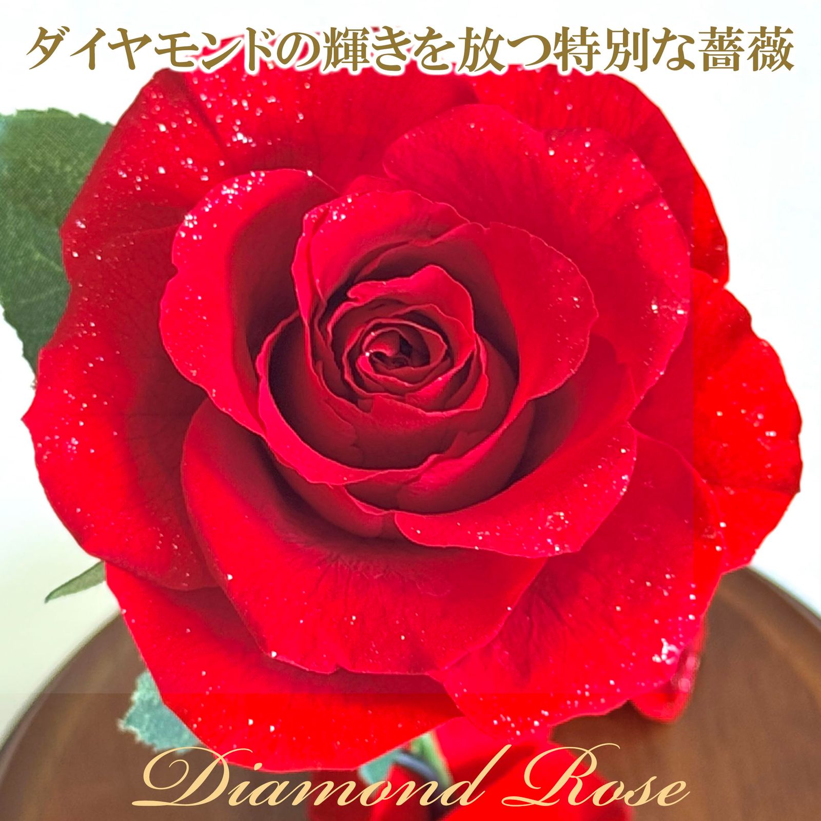 インテリア 贈り物